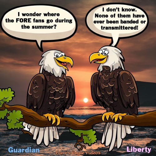 Liberty and Guardian discussion about human vacation 01_mod4.jpg