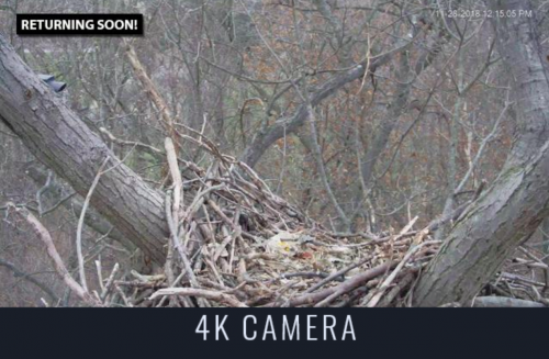 4K cam view.png