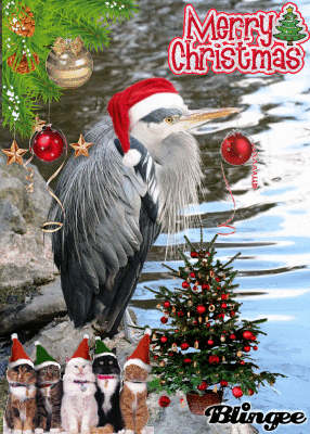 Merry Christmas - Henry Heron-2.gif