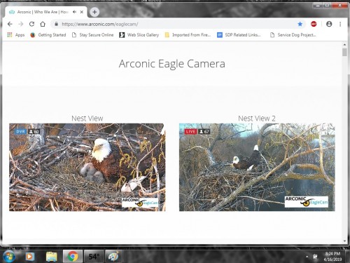 ARCONIC EAGLES 4 16 19 8 25PM TWO LITTLES.jpg