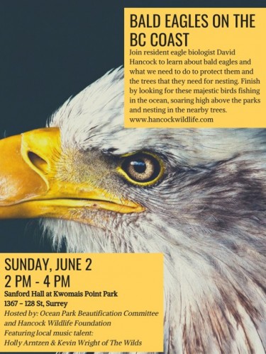 Eagle Extravaganza Sunday June 2nd Kwomais Park .jpg