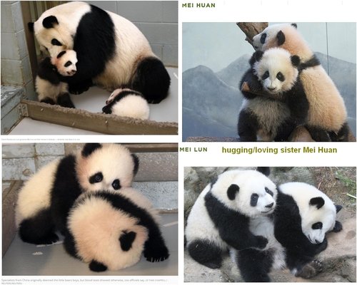 2. mei lun huan collage hugging.jpg
