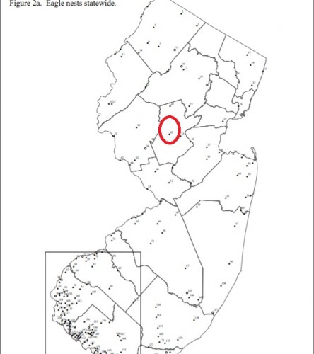 DF   NJ map.jpg
