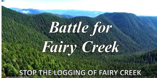 Battle for Fairy Creek.jpg