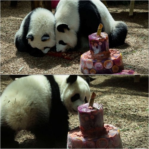 1st birthday luns and lun.jpg